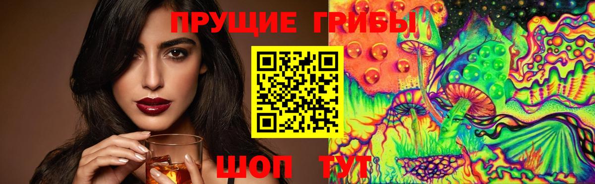 Псилоцибиновые грибы Psilocybine cubensis Строитель